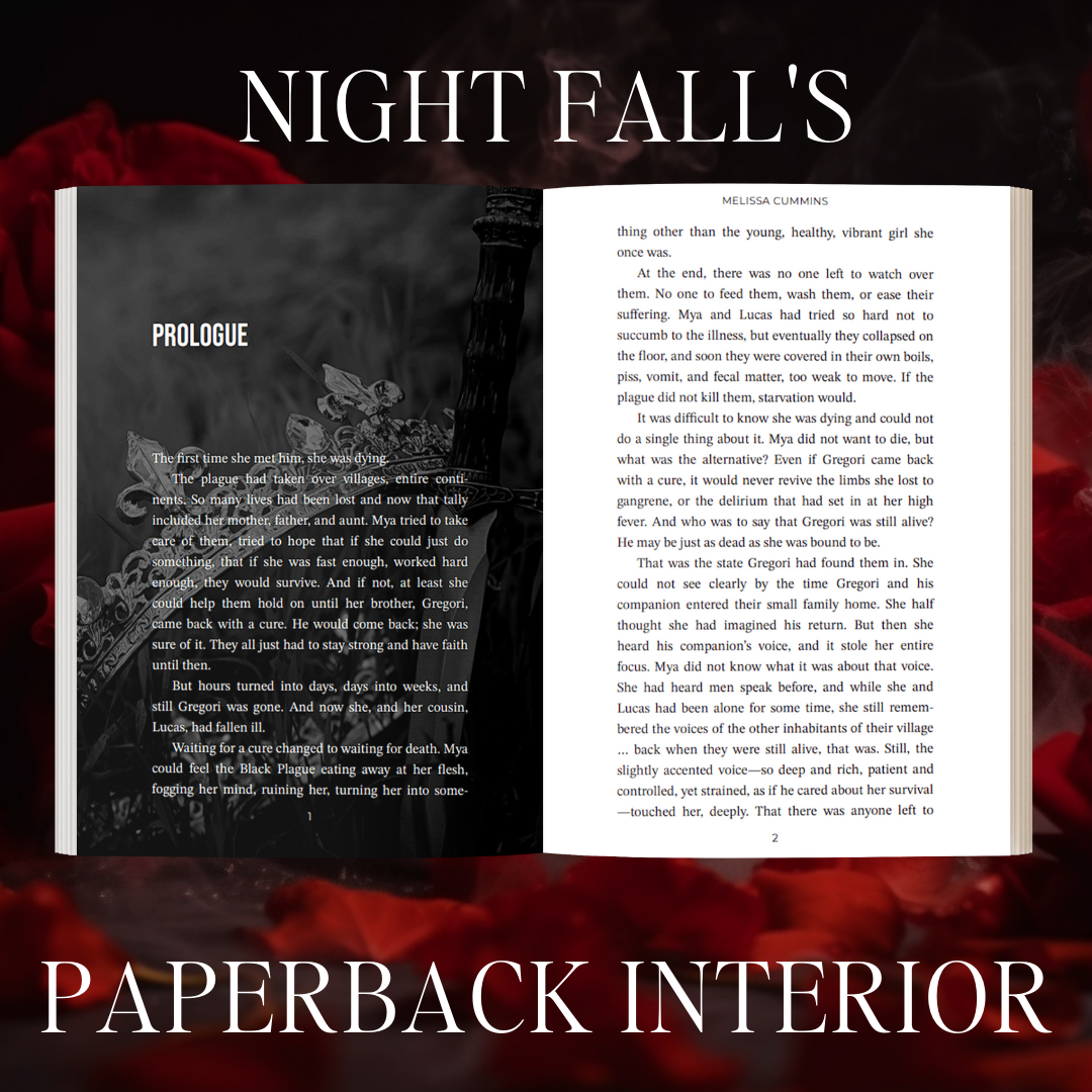 Night Fall Paperback