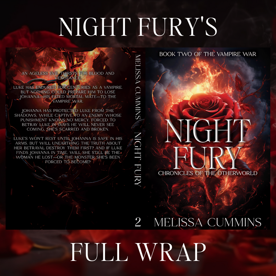 Night Fury Paperback