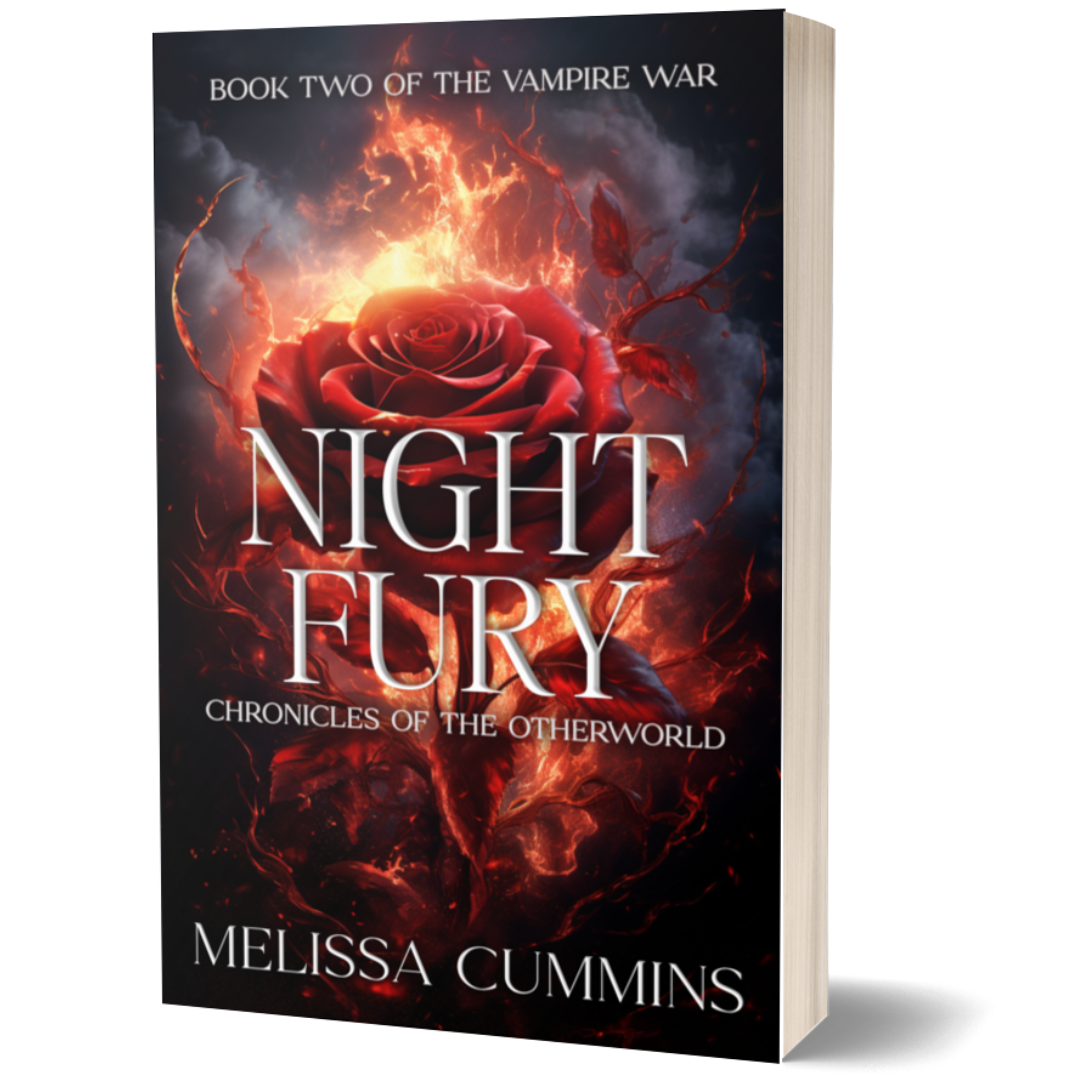 Night Fury Paperback